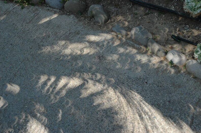 Sichelfoermige_Schatten.jpg