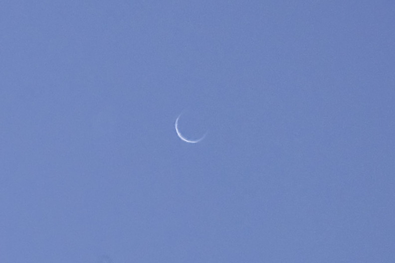 Venus__09_06_2012.jpg