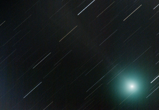 Lovejoy C 2014 Q2 05 01 2015