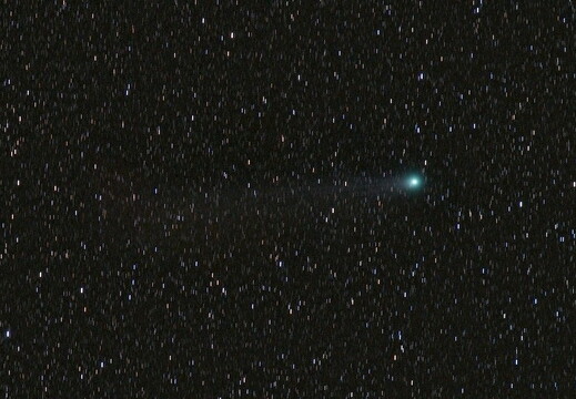 Lovejoy C 2014 Q2 11 02 2015