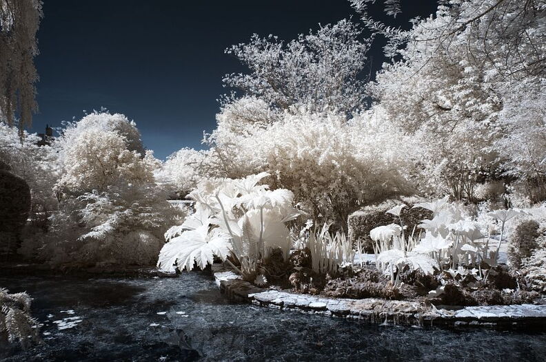 Courts_Garden_Holt_D70IR_DSC_4885.jpg