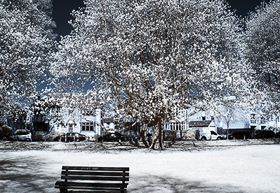 Henrietta Gardens D70IR DSC 4670-2