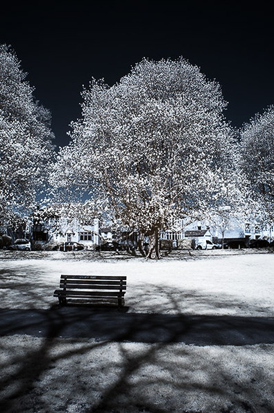 Henrietta_Gardens_D70IR_DSC_4670-2.jpg
