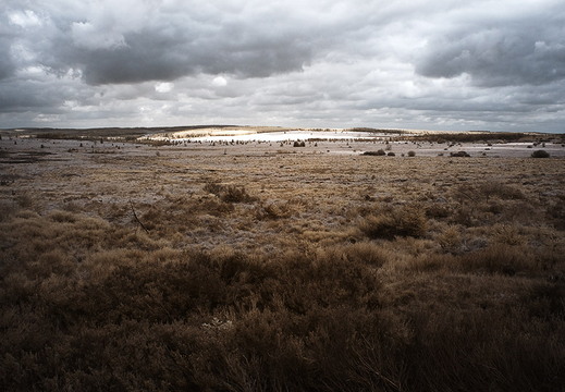 Hohes Venn D70IR DSC 4611