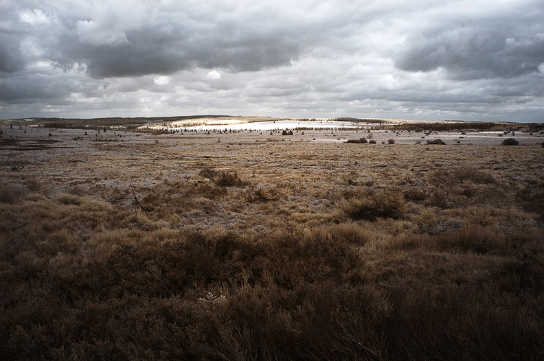 Hohes_Venn_D70IR_DSC_4611.jpg