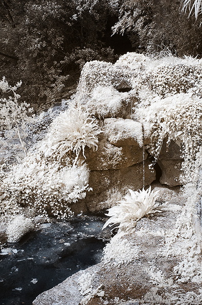 Iford_Manor_Garden_D70IR_DSC_5428.jpg