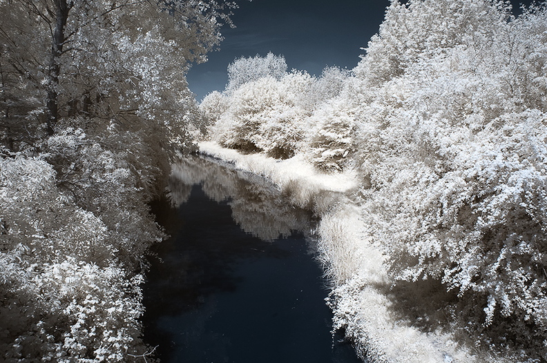 Kennet___Avon_Kanal_D70IR_DSC_4822.jpg