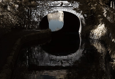 Sydney Gardens   K A Kanal