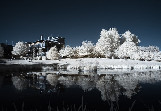 University of Bath
