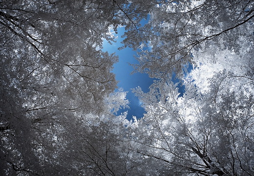 Blauer Himmel