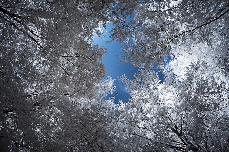 Blauer_Himmel.jpg
