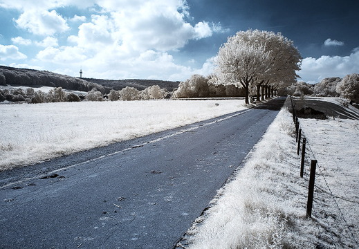 Dreilaenderweg