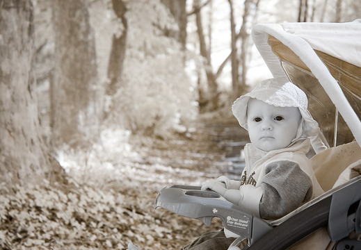 IR Baby