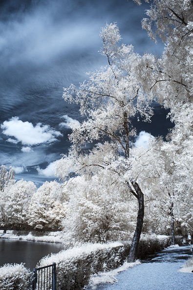 Am_Kupferbach_Stausee_D70IR-DSC_5967.jpg