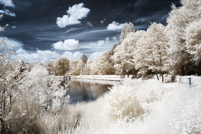 Am_Kupferbach_Stausee_D70IR-DSC_5973.jpg