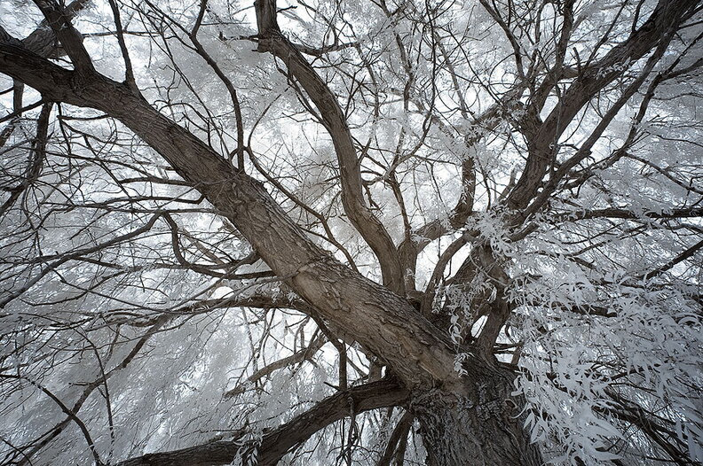 An_der_Themse_bei_Reading_D70IR-DSC_6076.jpg