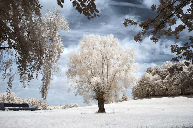 Solitaer_bei_Waldhausen_D70IR-DSC_5912.jpg