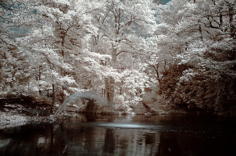 Im_Aachener_Stadtpark.jpg