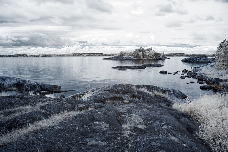Bay_at_Stendoerrens_naturreservat.jpg
