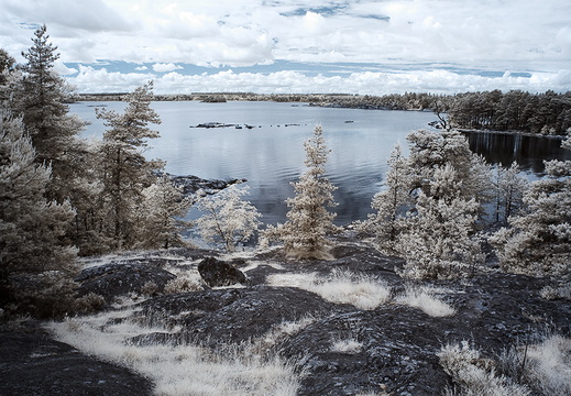 Bay in Stendoerrens naturreservat