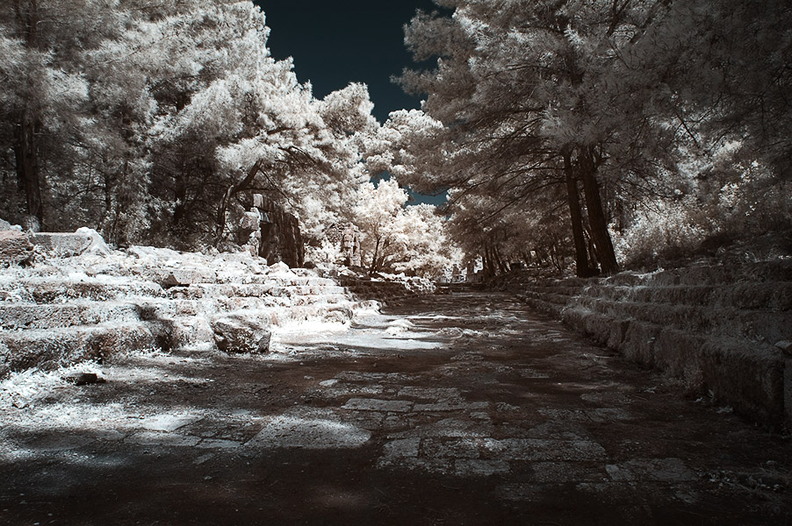 Phaselis__Hauptstrasse.jpg