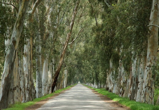 Reise
