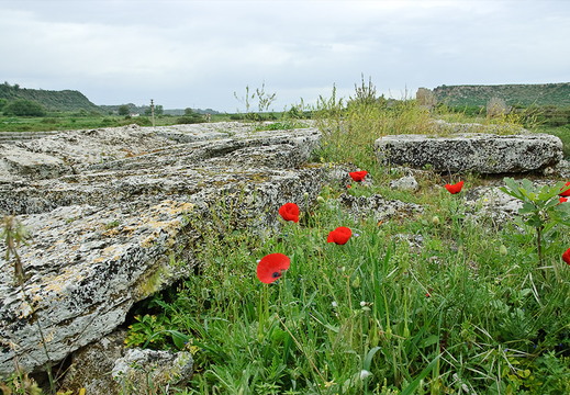 Stadion DSC 8906
