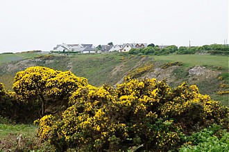 mumbles_gower_43.jpg