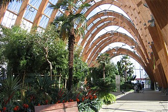 Im Wintergarten IMG_4526.jpg