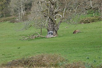 stourhead_06.jpg