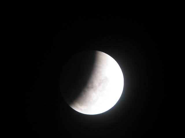 _IMG_8588.jpg