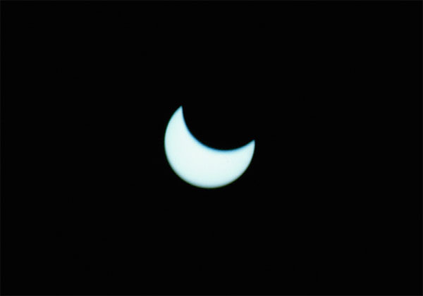 Sonnensichel_1.jpg